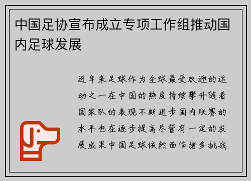 中国足协宣布成立专项工作组推动国内足球发展