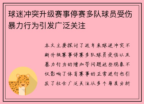 球迷冲突升级赛事停赛多队球员受伤暴力行为引发广泛关注